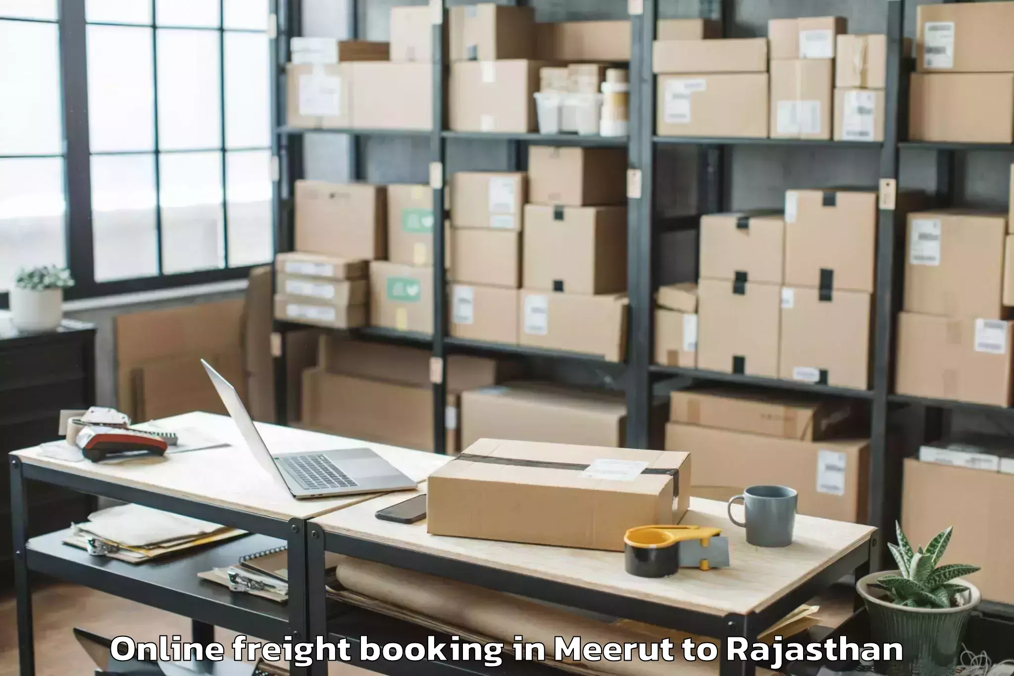 Professional Meerut to Opjs University Churu Online Freight Booking